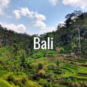 Blogs over Bali